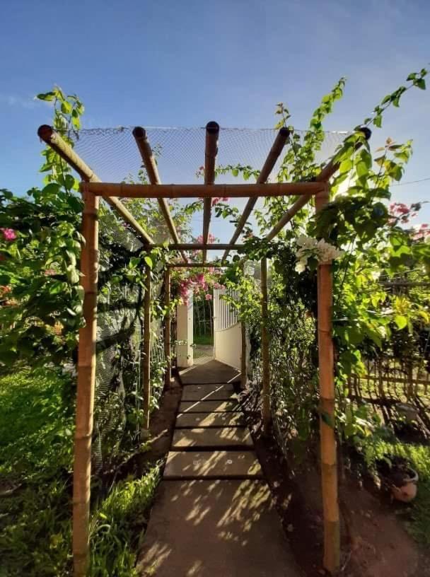 Dreamink farm og Myl`s place Sorsogon Eksteriør billede