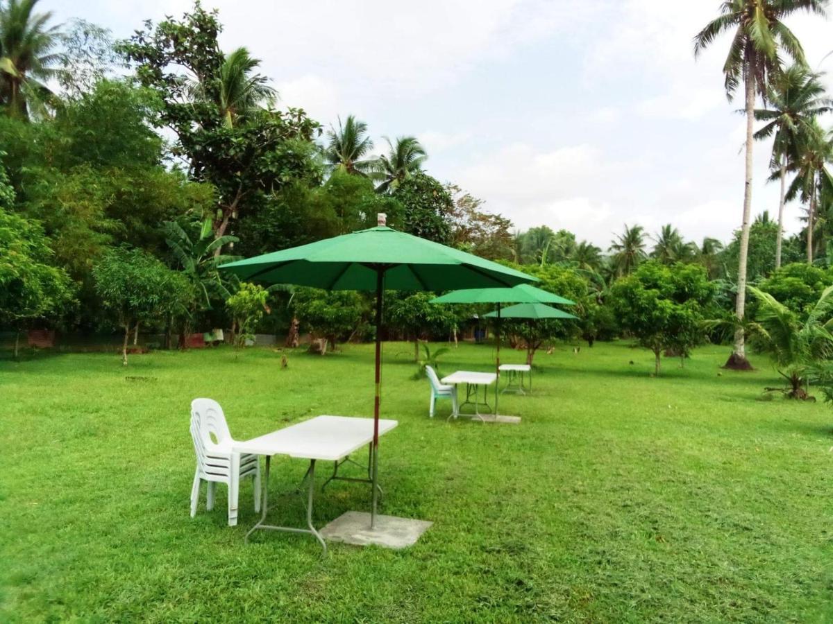 Dreamink farm og Myl`s place Sorsogon Eksteriør billede
