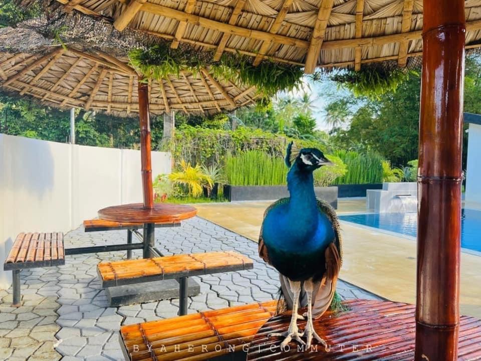 Dreamink farm og Myl`s place Sorsogon Eksteriør billede