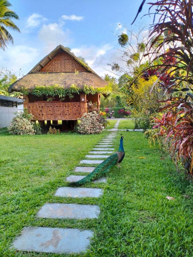 Dreamink farm og Myl`s place Sorsogon Eksteriør billede